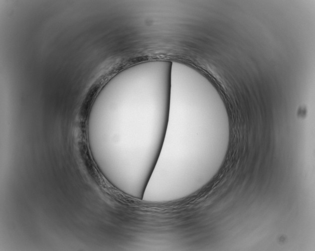 X0000102360738200808010959
