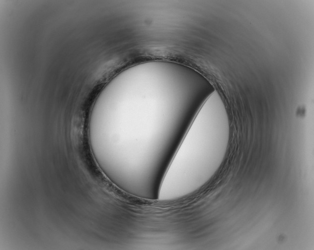 X0000102360739200808010959