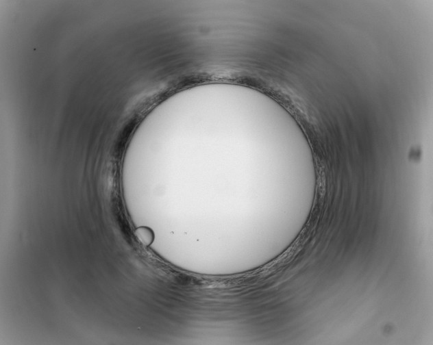 X0000102360740200808010959