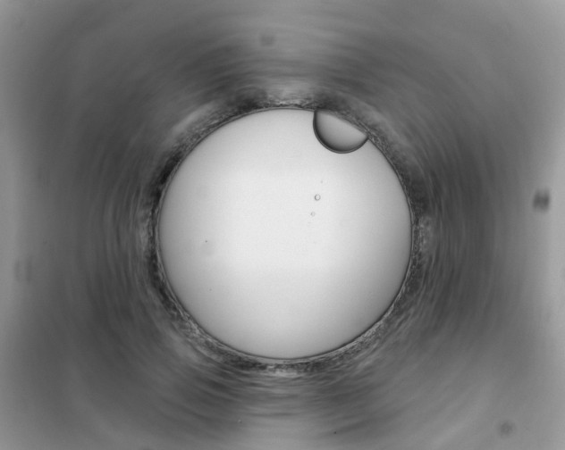 X0000102360741200808010959