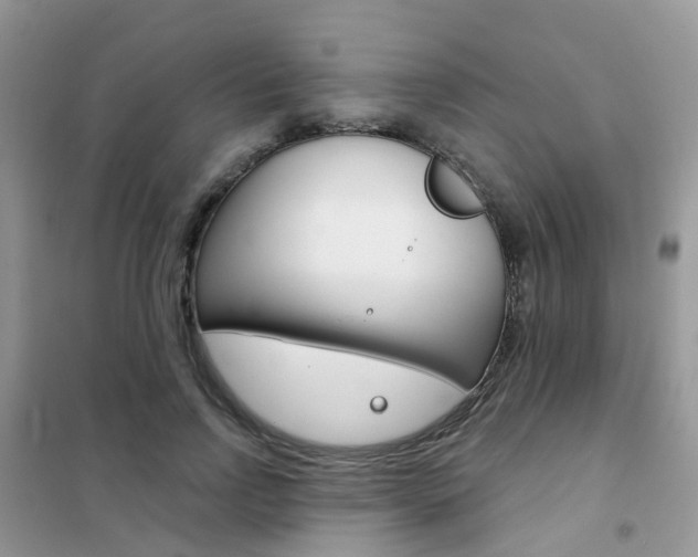 X0000102360742200808010959