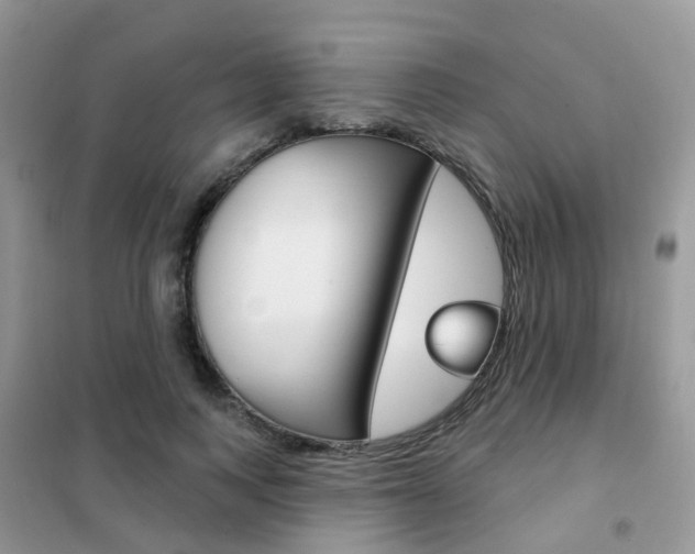 X0000102360743200808010959