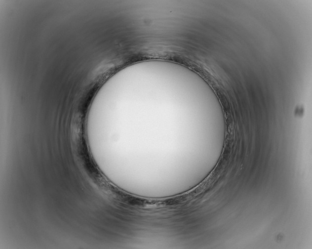 X0000102360744200808010959