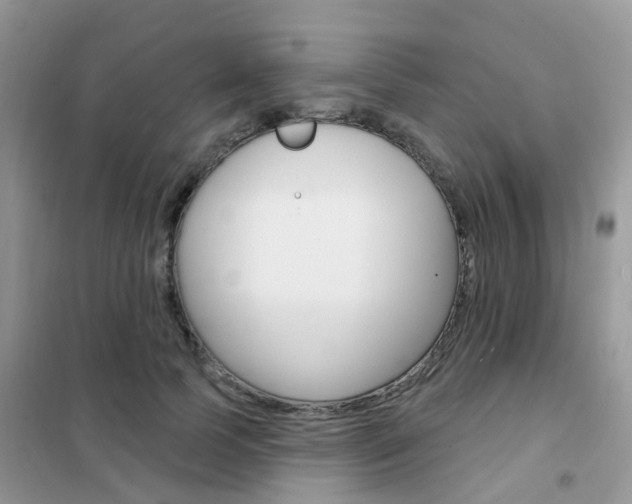 X0000102360745200808010959