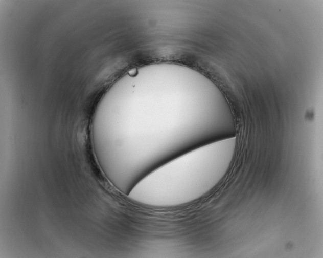 X0000102360746200808010959