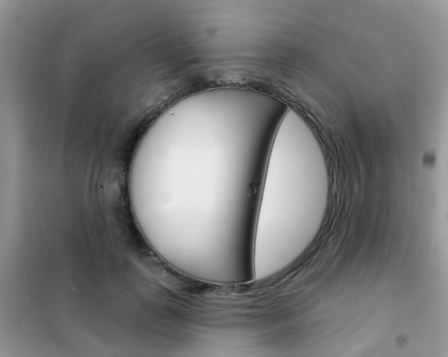 X0000102360747200808010959