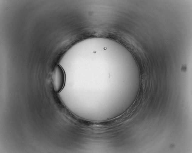 X0000102360748200808010959