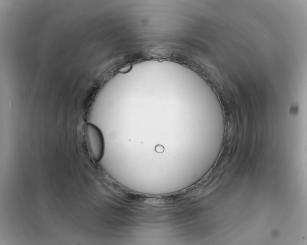 X0000102360749200808010959