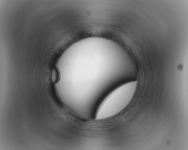 X0000102360750200808010959