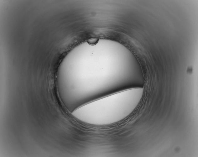 X0000102360751200808010959