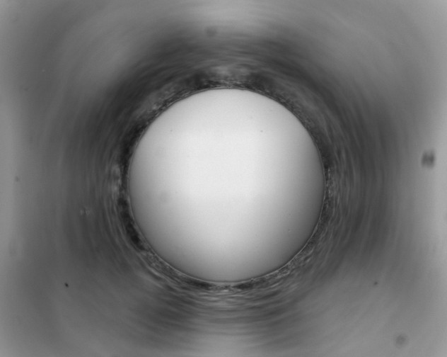 X0000102360752200808010959