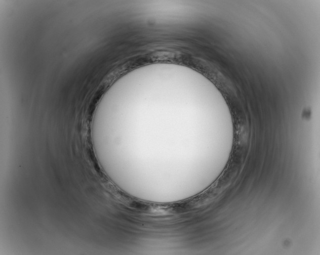 X0000102360753200808010959