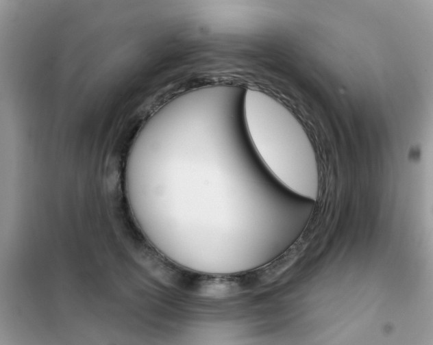 X0000102360754200808010959