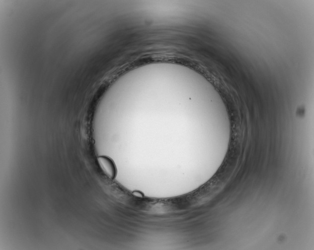 X0000102360755200808010959
