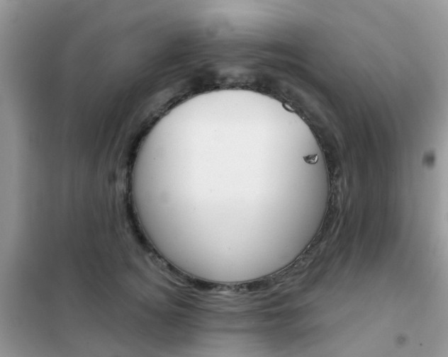 X0000102360756200808010959