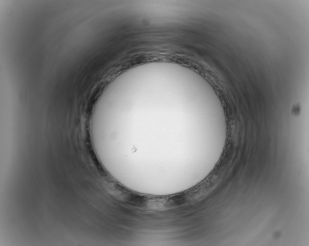 X0000102360757200808010959