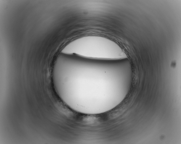 X0000102360759200808010959