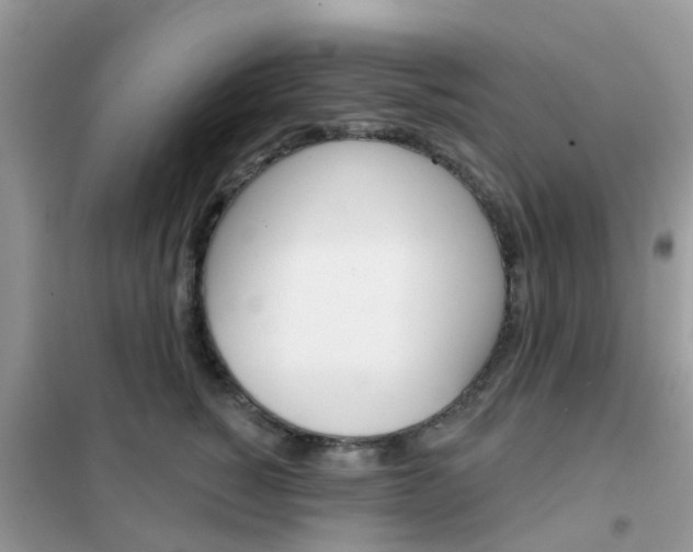 X0000102360760200808010959