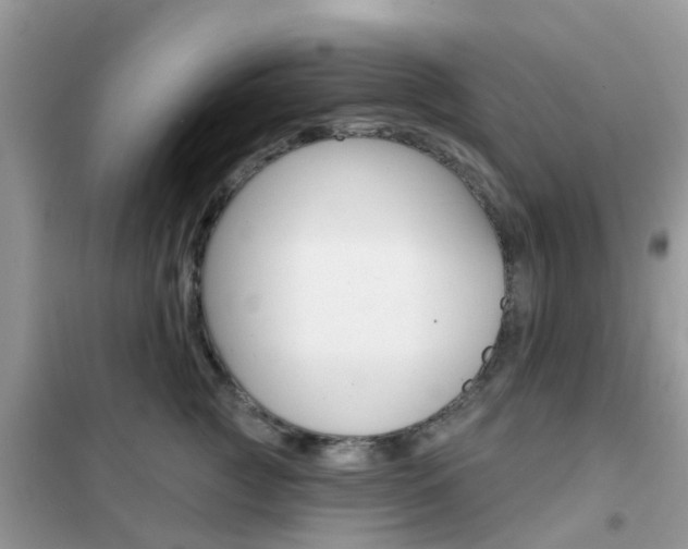 X0000102360761200808010959
