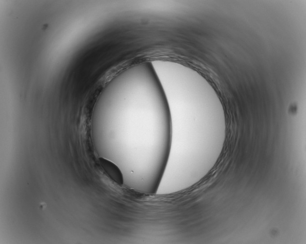 X0000102360762200808010959