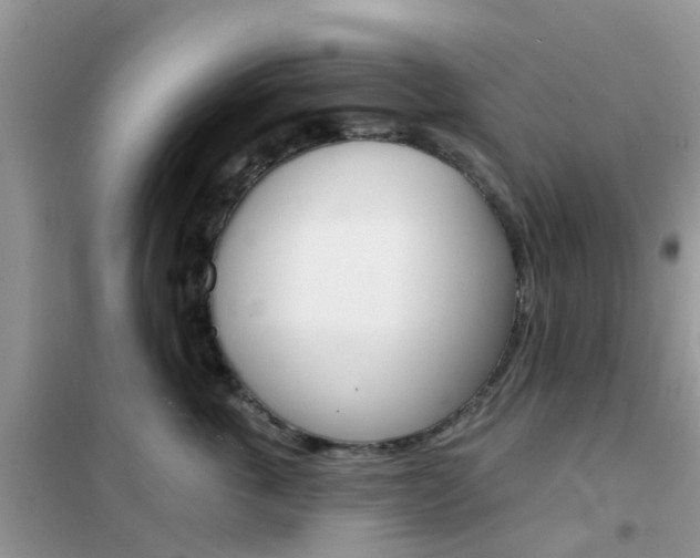 X0000102360763200808010959