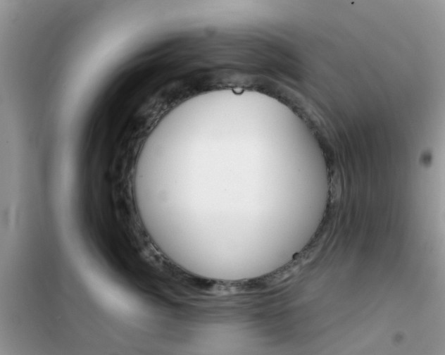 X0000102360764200808010959
