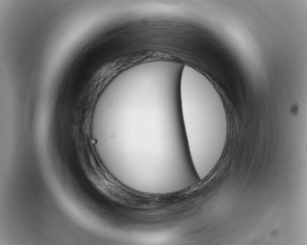 X0000102360765200808010959