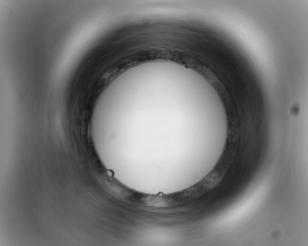 X0000102360766200808010959