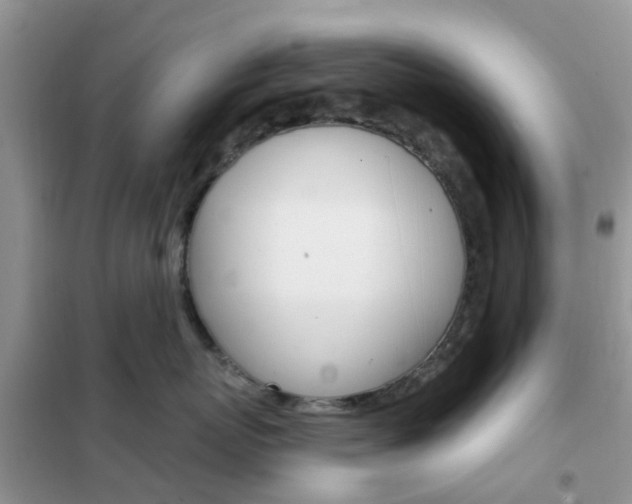 X0000102360767200808010959