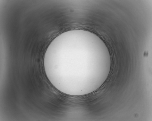 X0000102360768200808010959