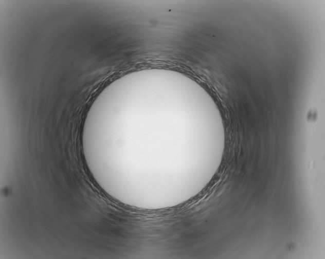 X0000102360769200808010958