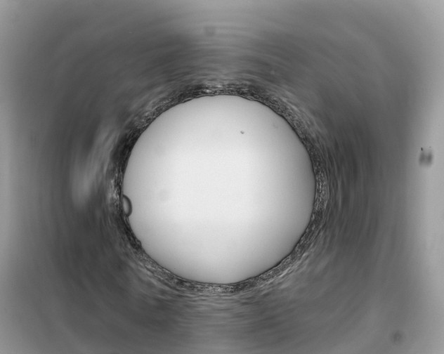 X0000102360770200808010958