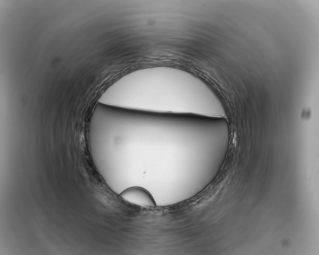 X0000102360771200808010958