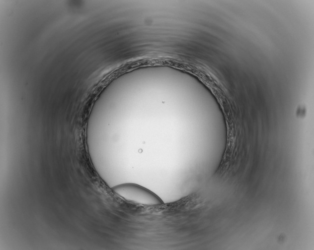 X0000102360773200808010958
