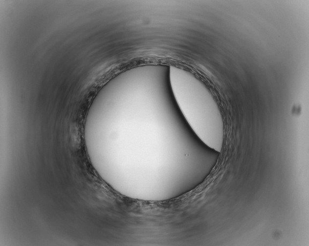 X0000102360774200808010958