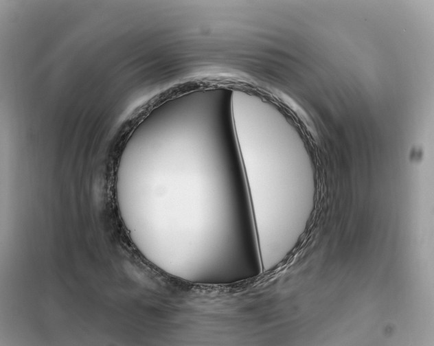 X0000102360775200808010958
