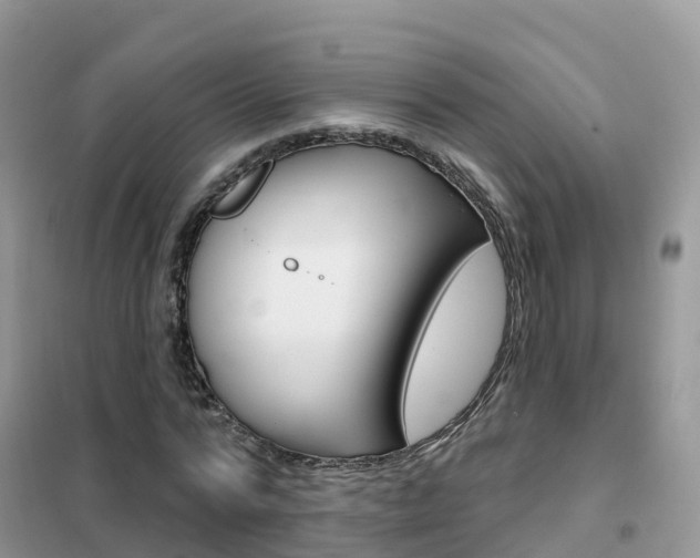 X0000102360776200808010958