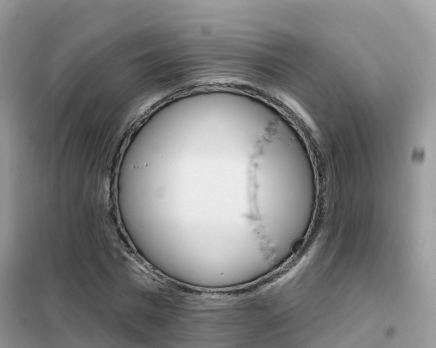 X0000102360777200808010958