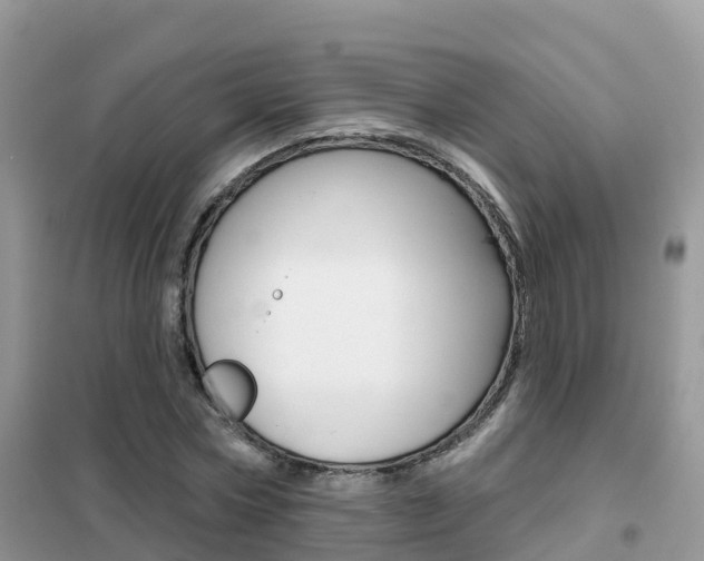 X0000102360778200808010958