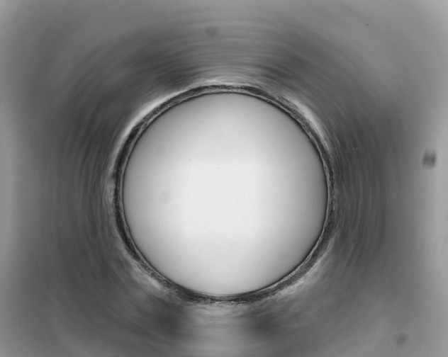 X0000102360779200808010958