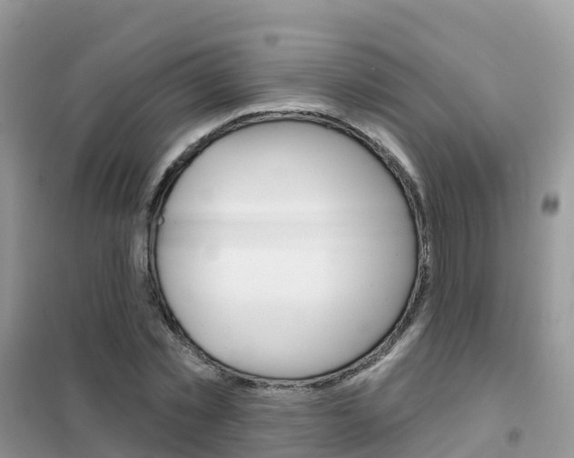 X0000102360781200808010958