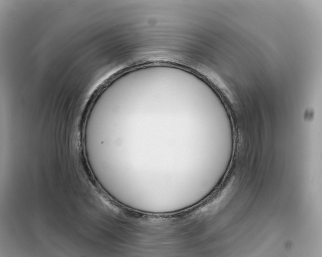 X0000102360782200808010958