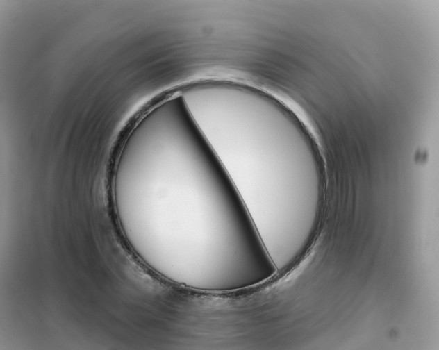 X0000102360783200808010958