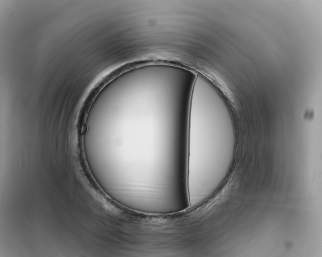 X0000102360784200808010958