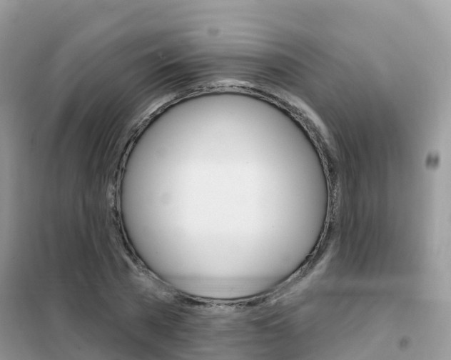 X0000102360785200808010958