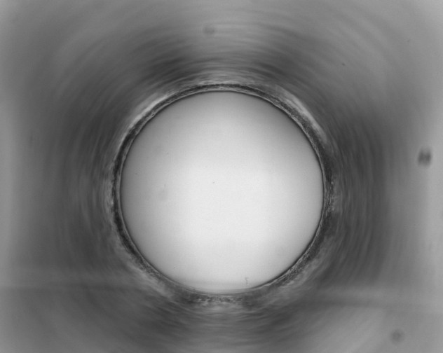 X0000102360786200808010958