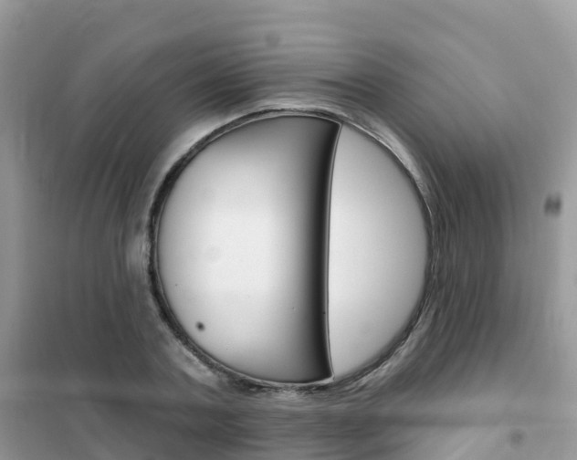 X0000102360787200808010958
