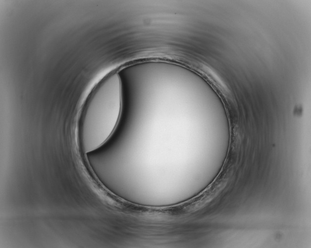 X0000102360788200808010958