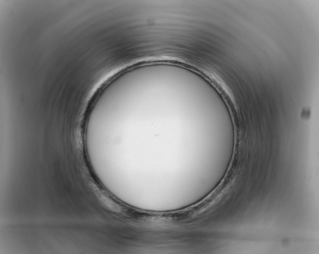X0000102360789200808010958