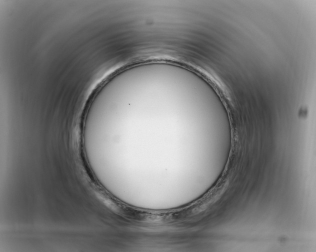 X0000102360790200808010958